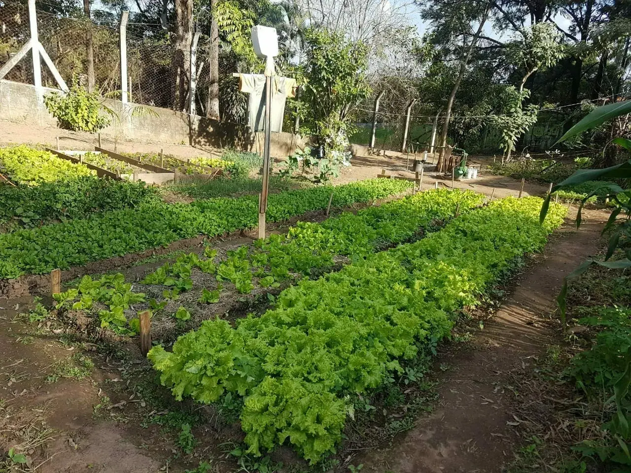  Unidade Valinhos 4